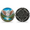 2 Year Sobriety Coin - Flying NA Medallions | Narcotics