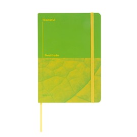 Jumble & Co Head & Heart A5 Self Care Journal - Thankful & Wishful - 100% Recycled Paper - Green