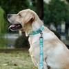 Olahibi Reflective Dog Collar Leash Set, 5ft or 150CM Matching