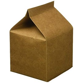 Darice 30027801 Kraft Party Favor Milk Cartons, 24 Piece