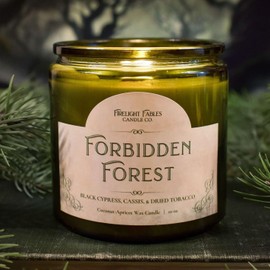 Fantasy & Tabletop RPG Candles, Handcrafted, Coconut-Apricot Wax, Wood Wick, Firelight Fables (10 oz Jar, Forbidden Forest)
