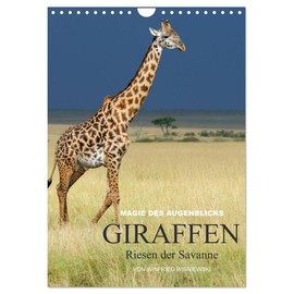 Magie des Augenblicks - Giraffen - Riesen der Savanne (Wandkalender 2026 DIN A4 hoch), CALVENDO Monatskalender: Eindrucksvolle Bilder von Giraffen, ... von Winfried Wisniewski (CALVENDO Tiere)