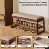 Aibiju Shoe Rack Bench with Cushion, 2 Tiers Wood Shoe