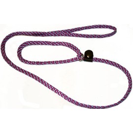 Lone Wolf Slip Lead with Leash and Collar for Pets, 1/4 by 6-Feet, Raspberry/Sky Blue Spiral