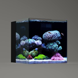 LANDEN 35C 7.2 Gallon Ultra Clear All Glass Rimless Low Iron Aquarium Tank with Rear Filtration Chamber(Pump Included) for Salt and Fresh Water.13.8''Wx13.8''Dx13.8''H 35cm Cube in 6mm Thickness