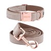 ARING PET Dog Collar and Leash, Velvet Dog Collar and