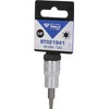 BRILLIANT TOOLS BT021941 3/8 Inch Torx Bit Socket, T20 [Powered