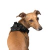 Canada Pooch Everything Dog Harness Black Mesh X-Large