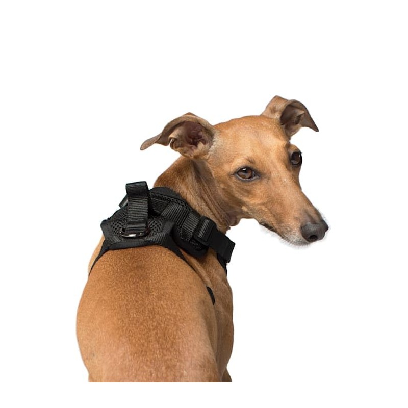 Canada Pooch Everything Dog Harness Black Mesh X-Large