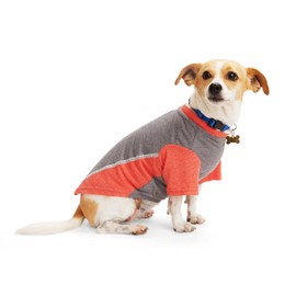 Reddy Grey/Red Cooling Dog Tee, Large