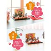 Osaka Choseido Original Hinamatsuri Hina Doll with Name Engraving, Free