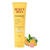 Burt's Bees Moisturizing Melt Hidratante Facial Natural Todo Tipo De