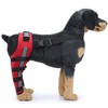Dog Leg Brace Elastic Safe Shockproof Pet Knee Pads with