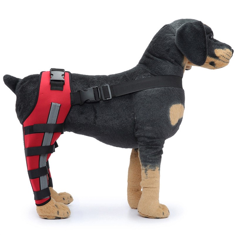 Dog Leg Brace Elastic Safe Shockproof Pet Knee Pads with