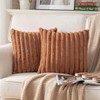 DEELAND Pack of 2,Double-Sided Faux Fur Plush Decorative Throw Pillow