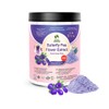 Butterfly Pea Flower Powder 5:1 Extraction | Blue Matcha Tea,