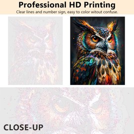 TUMOVO Animal Paint by Numbers, Abstract Owl Paint by Number for Adults, Delicate Animal Painting by Numbers for Home Wall Decor, Oil Painting with Brushes and Pigment, 16x20 Inch