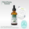 Life180 Serum de Tea Tree , 52 ml (100 Porciones)