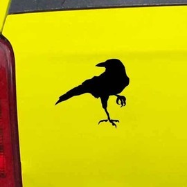 Ranger Products Crow Raven Jackdaw Decal Sticker, Die Cut Vinyl Decal for Windows, Cars, Trucks, Tool Boxes, laptops, MacBook - virtually Any Hard, Smooth Surface