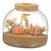 BUGUUYO Glass Terrarium Jar with Moss Terrarium Landscape Container for