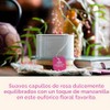 Orgánica India Tulsi – Té, Hojas Sueltas, Sweet Rose, 3.5