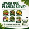 Jabón Potásico Con Azufre Sulfoplus 1l Fungicida Y Acaricida