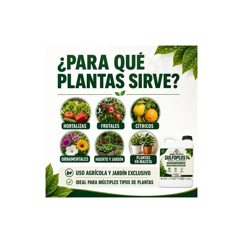 Jabón Potásico Con Azufre Sulfoplus 1l Fungicida Y Acaricida