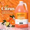 Ginger Lily Farms C and F Formula Shampoo, Citrus Gallon,