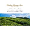 Weston Flavour Tea Mresna White Peach Earl Grey (Ceylon Tea