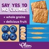 Plum Organics Jammy Sammy Snack Bars - Blueberry and Oatmeal
