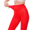 EVERSWE 2 Pairs Pack Women's Opaque Tights (L-XL, Red)