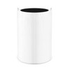 Blue Air Air Purifier, Replacement Filter, Particle Plus, Carbon 106332,