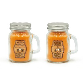 Harvest Festival Scented Candles Set - 2 Pack Pumpkin Cinnamon Apple Scented Soy Wax Candles in Beer Mug Jars (120g Each) for Fall, Thanksgiving, Autumn Home Decor & Aromatherapy Candles Gifts