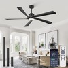Fanbulous 64 Inch Ceiling Fans with Lights and Remote,Smart Ceiling