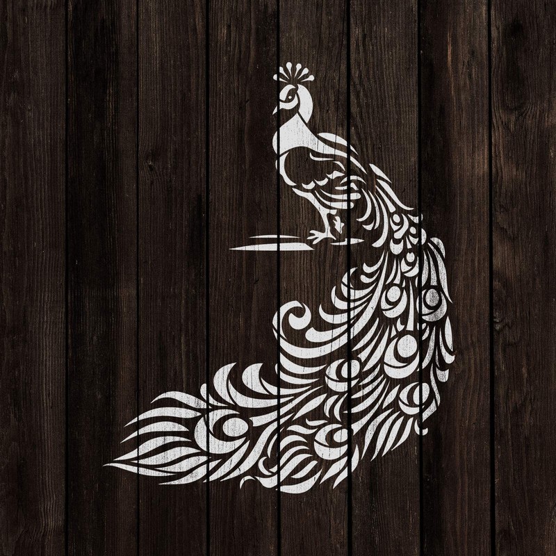 Peacock Art Stencil - Peacock Feather Design