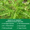 Xemenry- Astragalus Extract Supplement - 20:1 Extract - Supports a