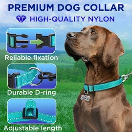 TECEUM Reflective Pet Collar – Teal – XXS – Basic Nylon Dog Collar – Quick Release Buckle – Fits Small, Medium and Large Dogs, Puppies, Cats – ESA & Service Dog Options