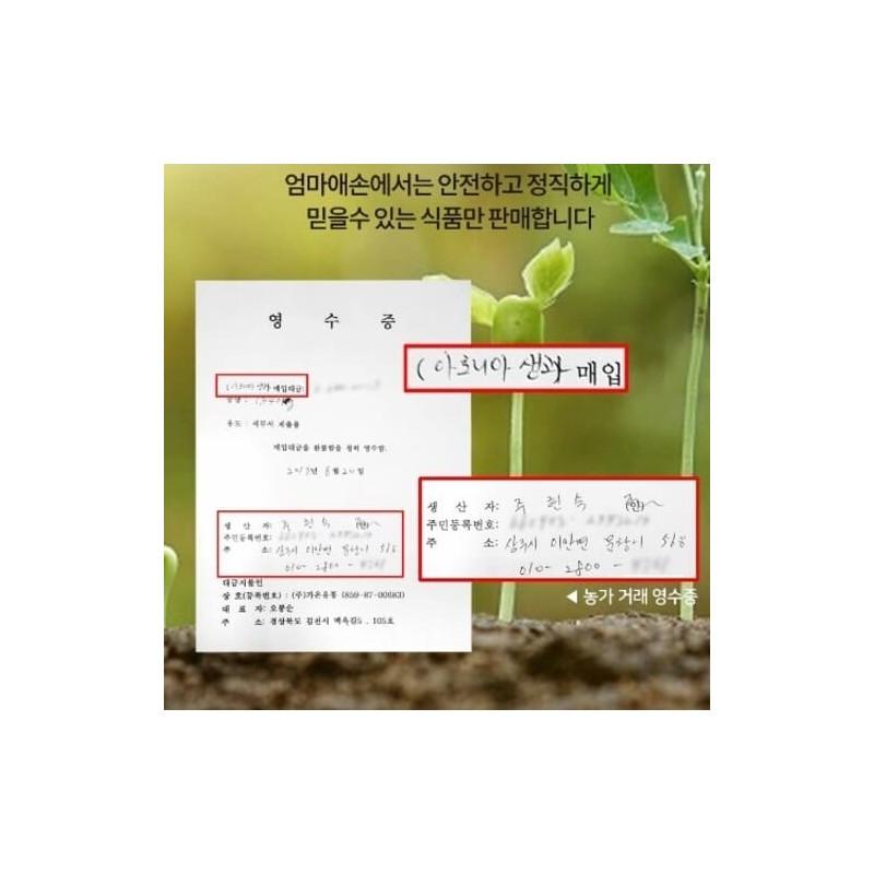 엄마애손 Mom's Son Aronia Powder 500g Domestic 100% Aronia Powder