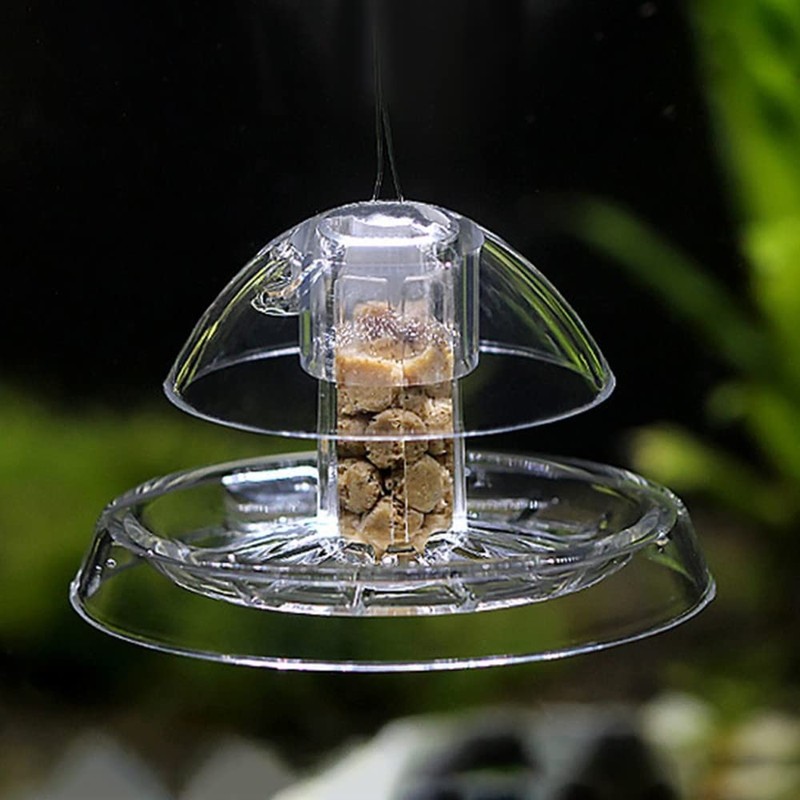 DONGKER Transparent Snail Catcher, Aquarium Snail Trap Snail Box for