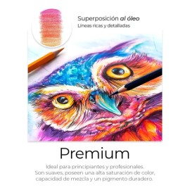 Juego De Lapices Dibujar Pintar De Colores Vibrantes 72 Pz Trazo Multicolor                                                                           