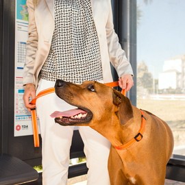 Reflective Dog Leash for Extra Large Dogs, 1" wide, 6' long, Yellow