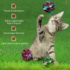 SunGrow Cat Crinkle Balls, 3.8-5 cm, Lightweight and Multicolor, Ideal