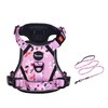Petmolico No Pull Dog Harness and Leash Set, No Choke