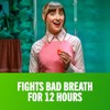 TheraBreath Fresh Breath Mouthwash, Mild Mint, Alcohol-Free, 1 Liter