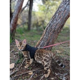 Mynwood Cat Jacket Plain Black Adult Kitten or Adult Cat Harness