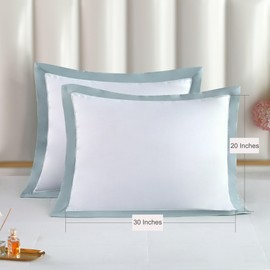 THE COTTON & SILK 100% Luxury Long-Staple Cotton Pillow Sham/Pillowcase, Set of 2, with Envelope Closure on The Back, White + Misty Blue, Queen Size