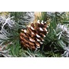 90cm (3ft) Frosted Glacier Christmas Swag with Pine Cones