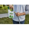 Scotts Liquid Turf Builder Lawn Food Fertilizer