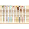 ZEESOON Xeno Lunatic Lunny 0.38mm Slim Ball Point Pen Dozen
