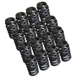 Vanlison 1219 Drop-In Valve Springs, 16 Pack Beehive Springs Set 1200 Series 625'' Lift Compatible with GM LS Series Engines 4.8L 5.3L 5.7L 6L 6.2L LS1 LS2 LS3 LS4 LS6 LS7 LS9 LSA LSJ LSX LQ4 LQ9 LM7